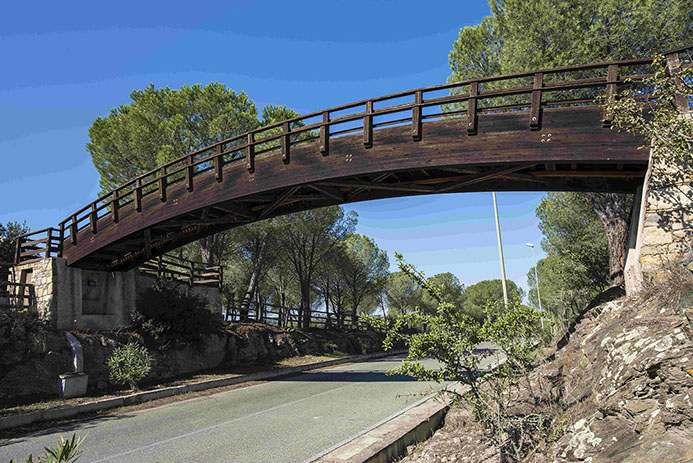 Ponte pedonale in legno